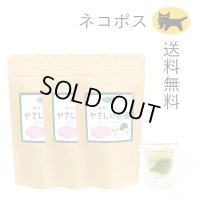 ３袋セット【低カフェイン煎茶】 やさしい煎茶ティーバッグ  2ｇ×15ケ