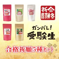 合格祈願5種セット